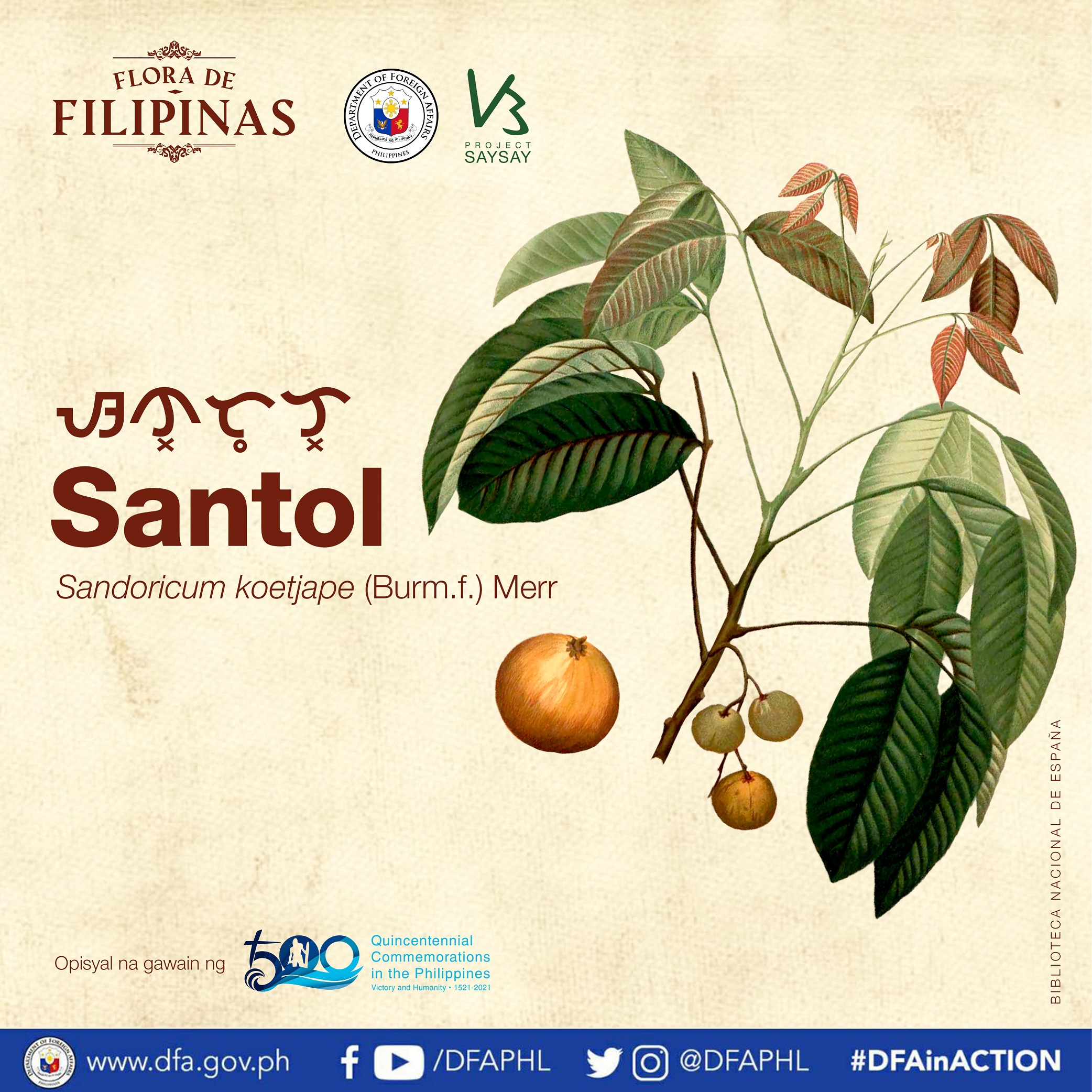 SocMed 12 santol